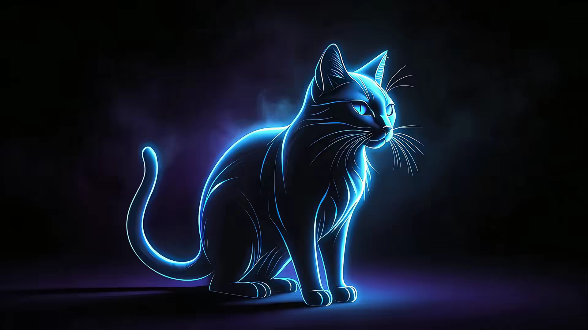 Blue Neon Cat Silhouette 4K Gif Wallpaper
