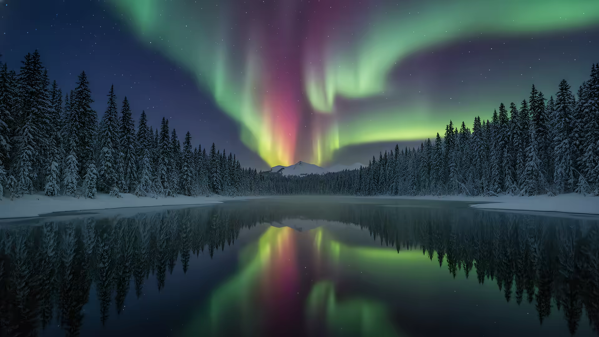 Northern Lights 4K Gif Wallpaper