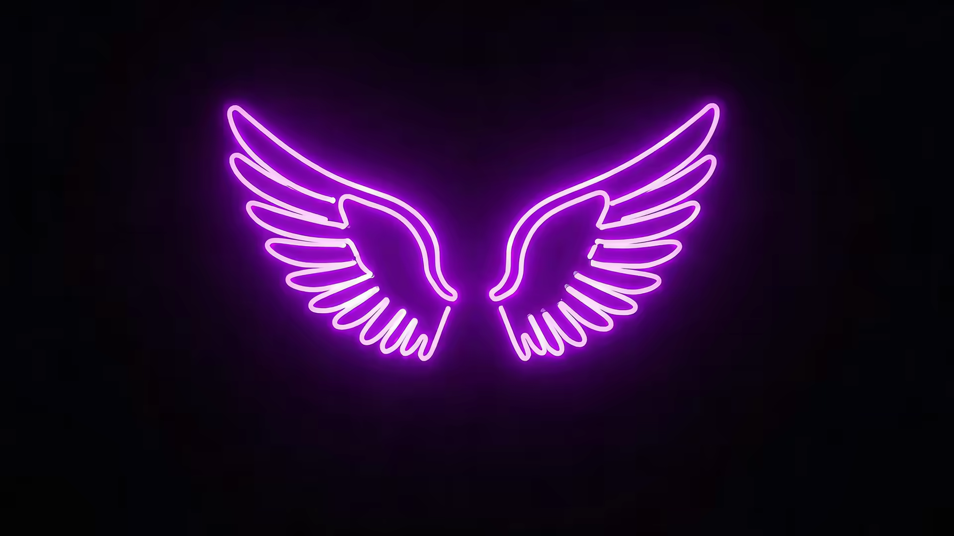 Purple Neon Angel Wings 4K Gif Wallpaper